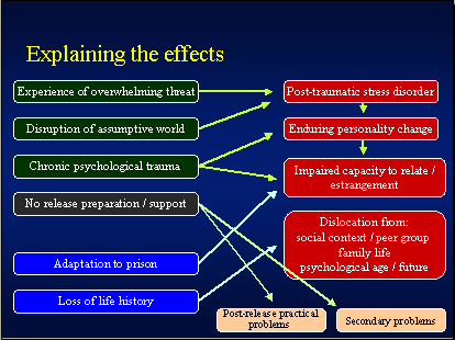 Wrongful convictions research papers